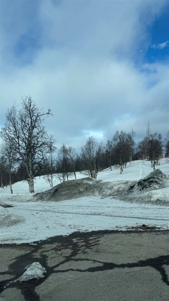 <span><p>Before and after of the Railway park (J�rnv�gsparken) in Kiruna, Sweden</p></span>