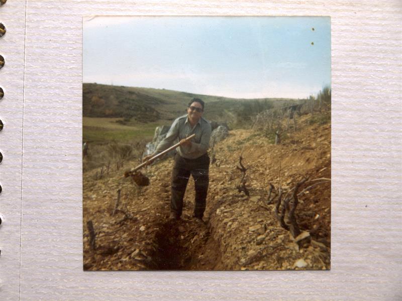 <span><p>A escavar a vinha</p></span>